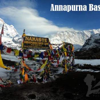 trekking in nepal annapurna base camp mardi himal trek