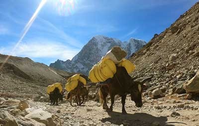 nepal everest base camp trek by road