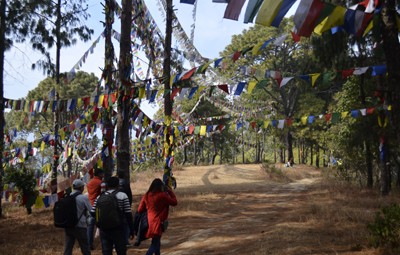 one day champadevi hill hiking trips from kathmandu