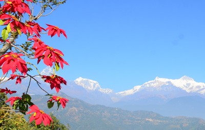 sirubari village trekking