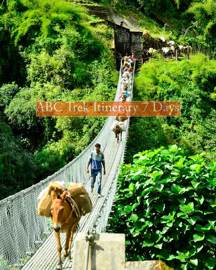 abc trek itinerary bamboo jhinu danda pokhara