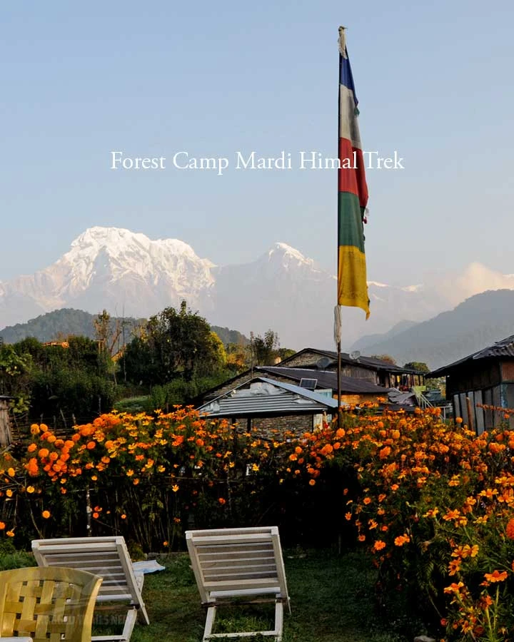 forest camp mardi himal trek best time