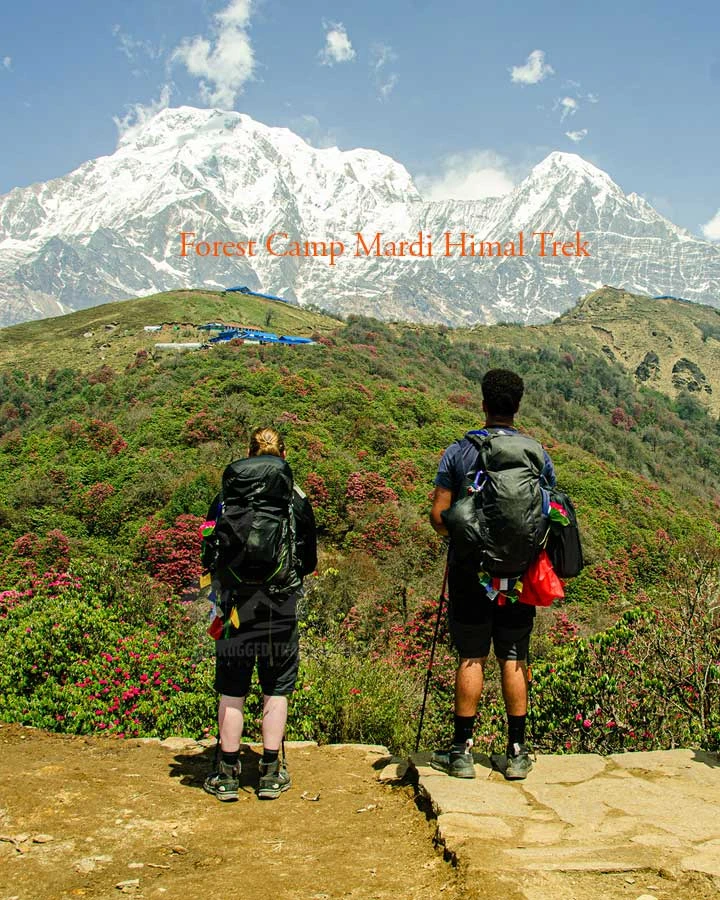 forest camp mardi himal trek in april