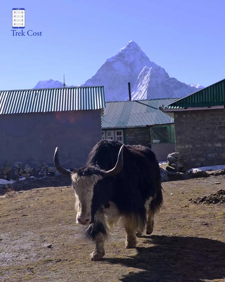 gokyo lake everest base camp trek cost.