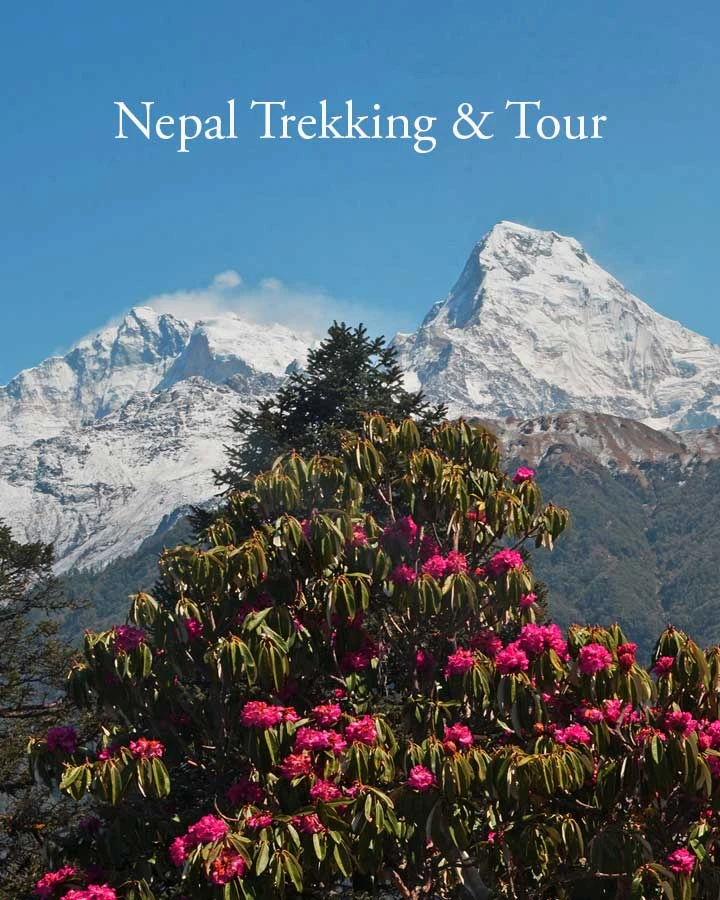 nepal tour and trekking
