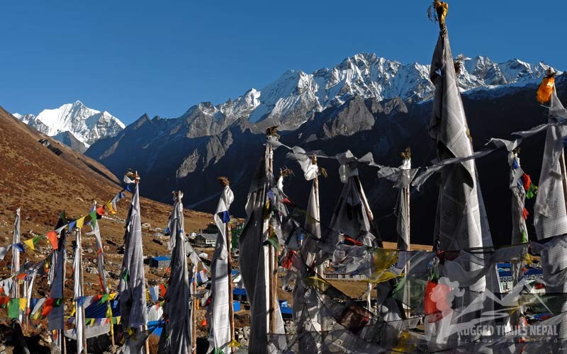 short langtang valley trekking video